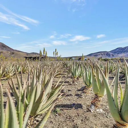 Casa Pilar, Aurora Y Tarabilla En Ecológica * Teguitar